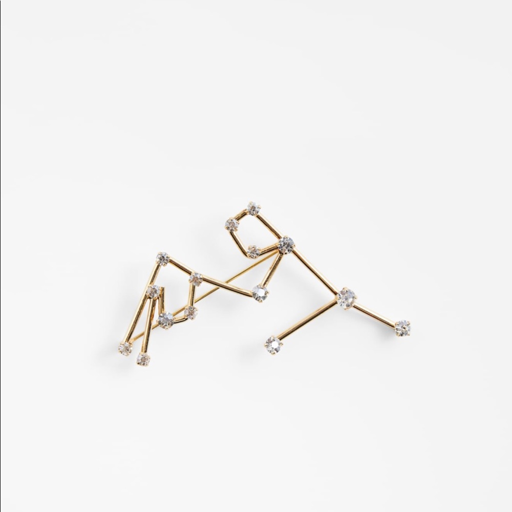 Aquarius Brooch